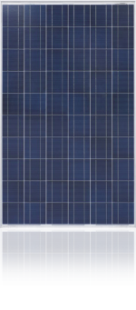IBC-Solar-Polykristallines-Modul IBC-Solar-Polykristallines-Modul