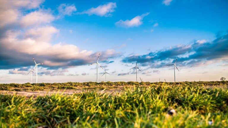 Rekord: Erneuerbare Energien liefern im ersten Halbjahr 44% des Stroms – Ausbau geht jedoch noch zu langsam voran