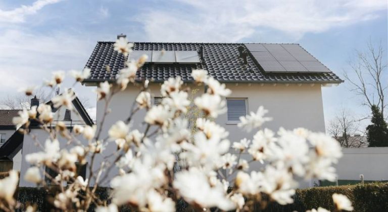 Trotz Solarboom – Nachbesserungen des Osterpakets zum Solarausbau nötig?