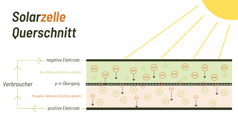 Funktionsweise einer Solarzelle im Querschnitt
