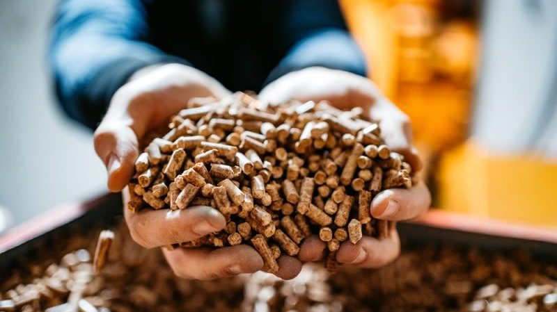 Person nimmt eine Hand voll Holzpellets aus dem Vorrat