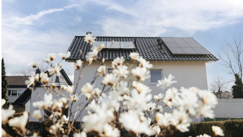 Haus mit Photovoltaik und Solarthermie auf dem Dach mit Blüten im Vordergrund