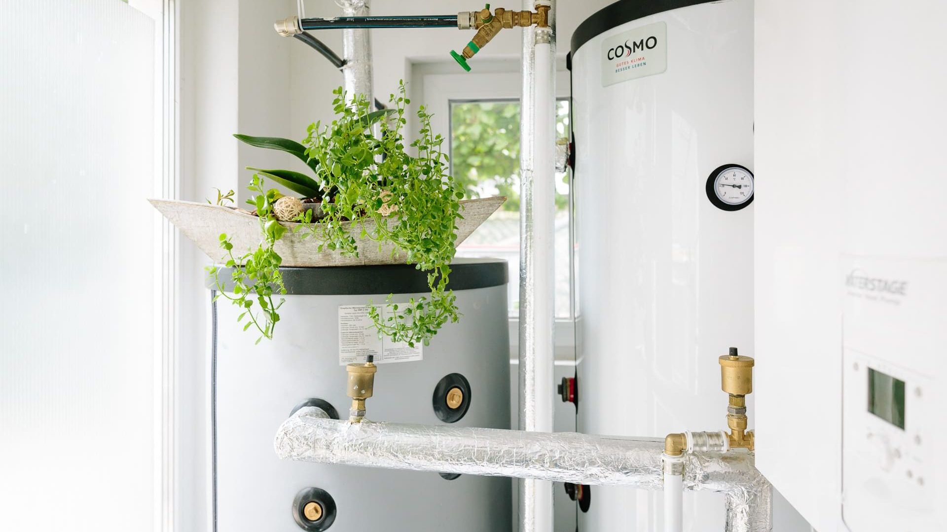 So funktioniert eine Wärmepumpe Pufferspeicher mit Pflanze und Wärmepumpen-Inneneinheit im Hauswirtschaftsraum