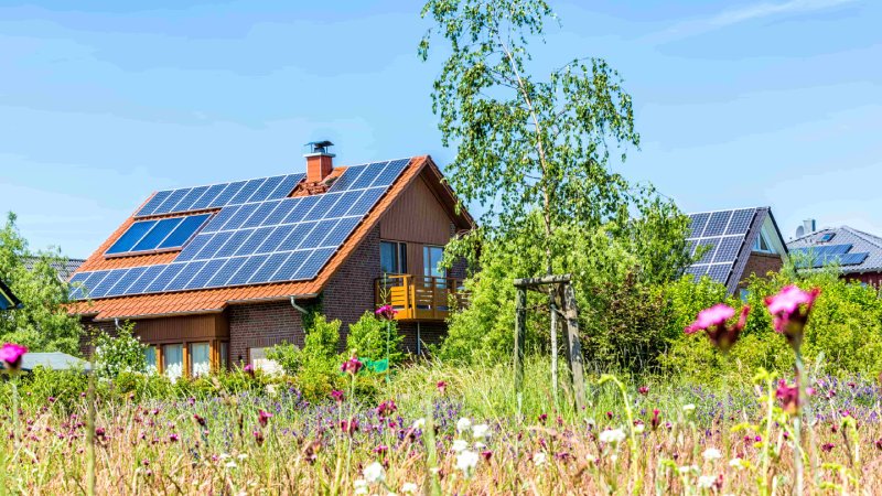 Reihenhaus mit Photovoltaikanlagen auf dem Dach und einer Wildblumenwiese im Vordergrund