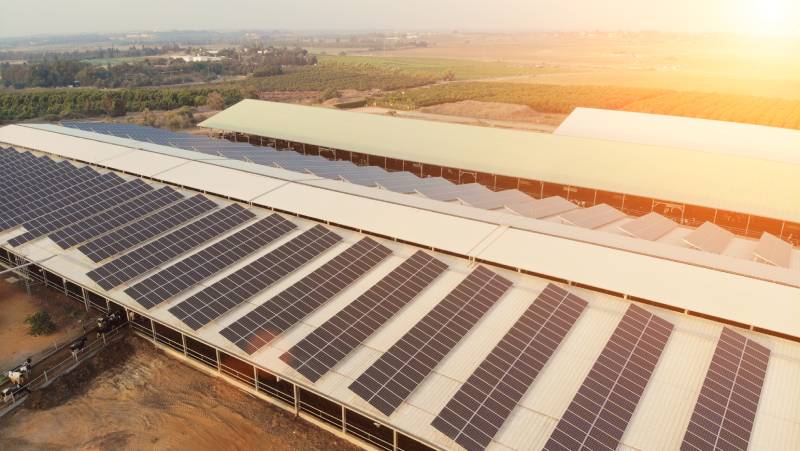 Große PV-Anlage auf dem Dach eines Kuhstalls
