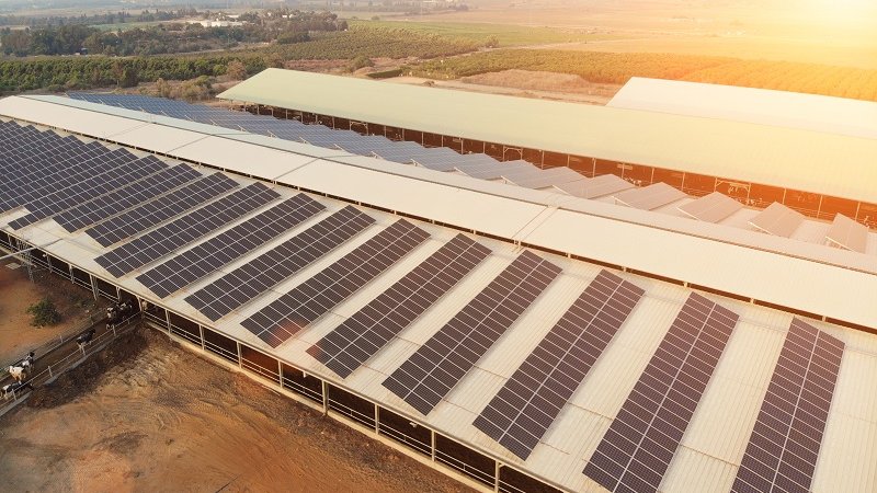 Große PV-Anlage auf dem Dach eines landwirtschaftlichen Gebäudes