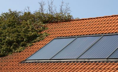 Image of roof with solar panel system installed Solar thermal system on an overgrown roof