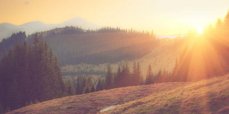 7 gute Gründe für den Kauf einer Photovoltaikanlage Sonnenaufgang über Wald