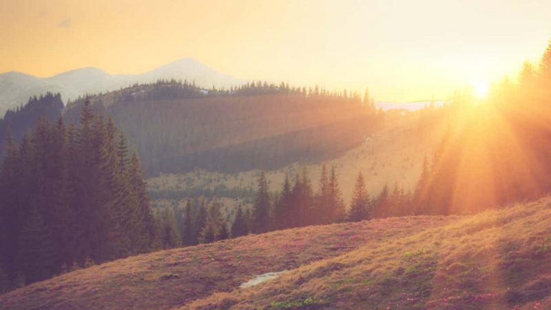 7 gute Gründe für den Kauf einer Photovoltaikanlage Sonnenaufgang über Wald